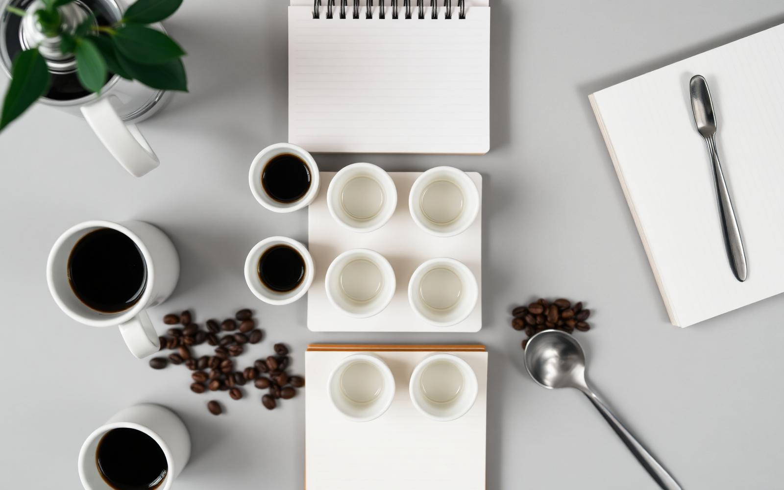 Coffee cupping session